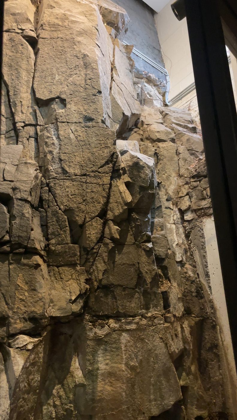 Natural rock feature wall after gentle cleaning, Hobart