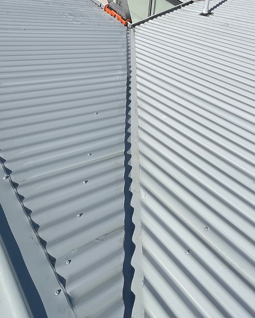 The same Rose Bay Colorbond roof valley after lichen treatment and soft wash