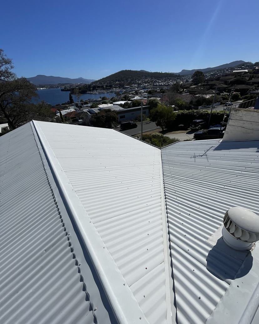 Clean grey Colorbond roof in Rose Bay above the marina after lichen treatment