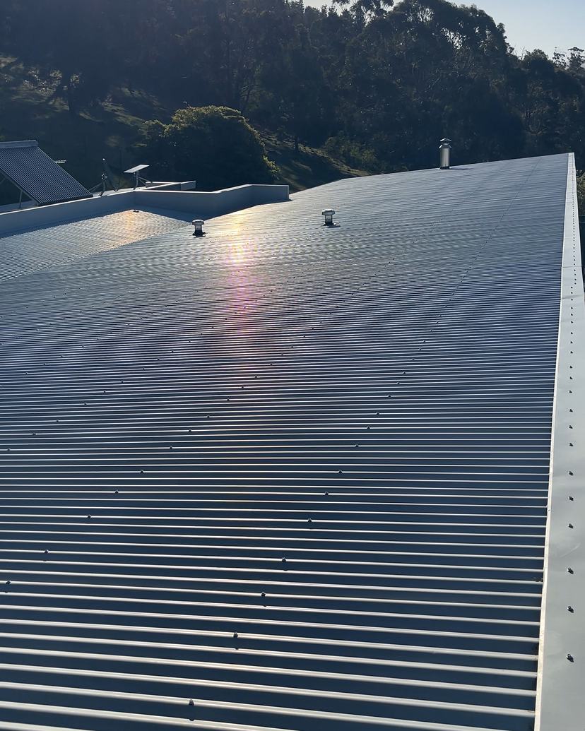 Clean grey corrugated roof catching the morning sun, bush behind