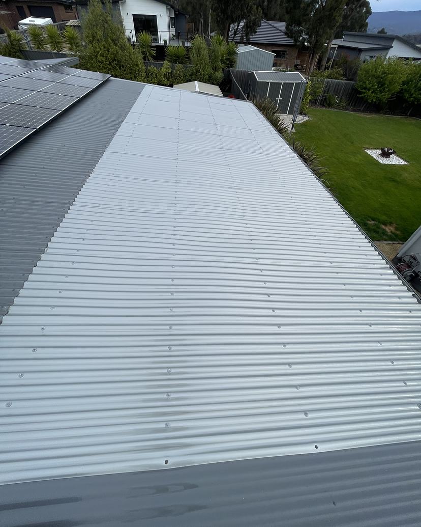 Clean light corrugated roof section and gutters in Kingston after cleaning