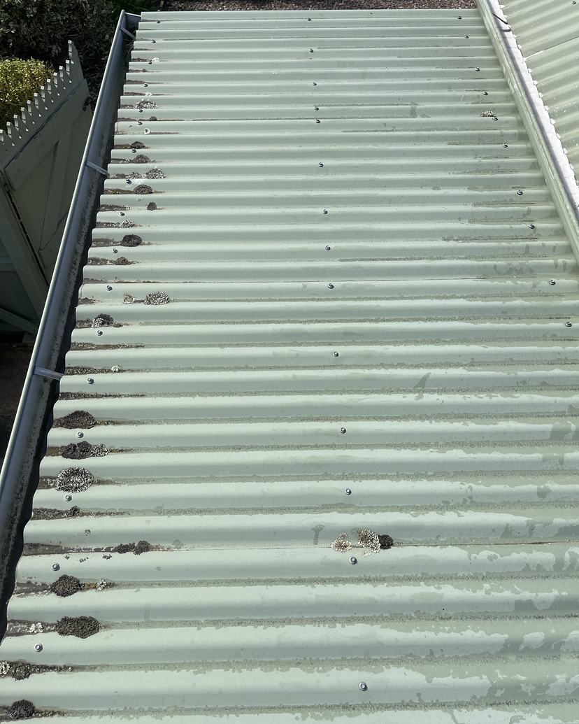 Sage green Colorbond roof in Kingston with lichen spots, before a soft wash