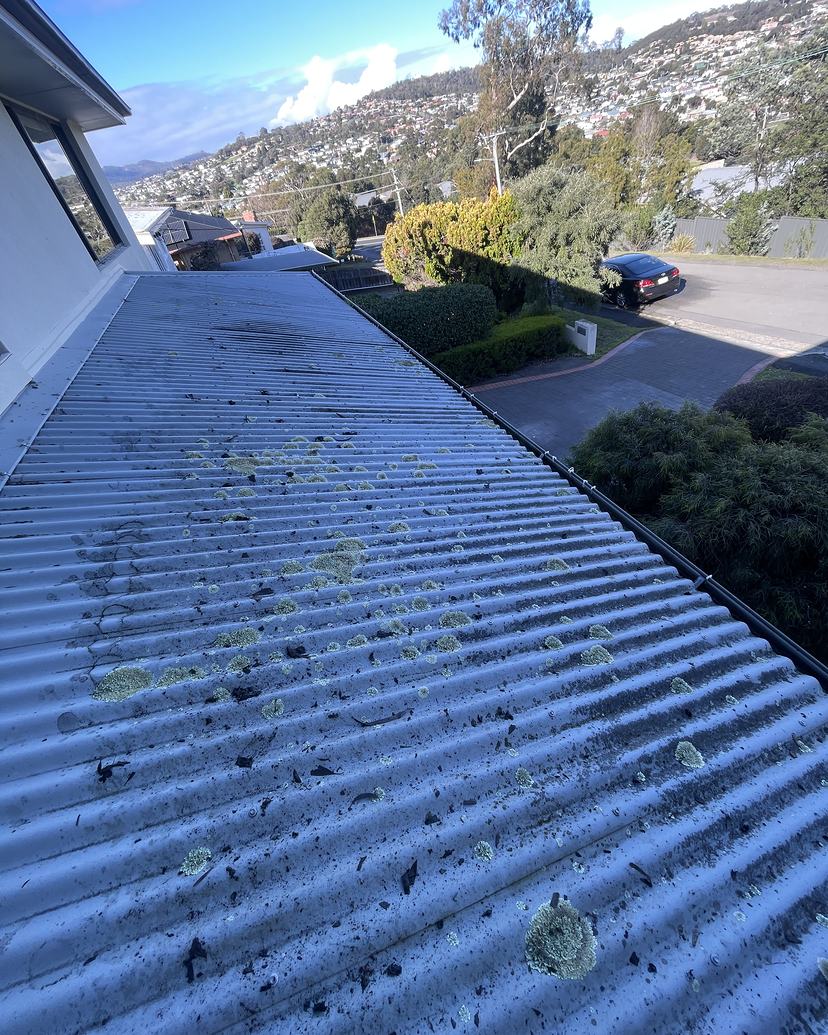 Corrugated iron roof in Lindisfarne spotted with lichen, before treatment