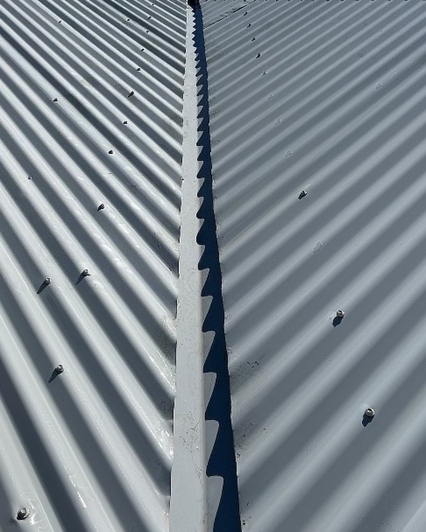 The same Rose Bay roof valley clean after lichen treatment and soft wash