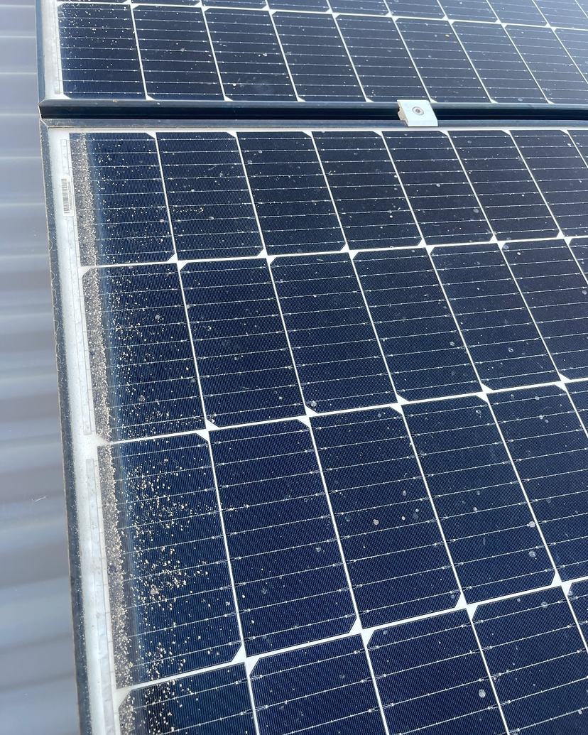 Solar panels on a Kingston roof covered in dust and bird mess, before cleaning