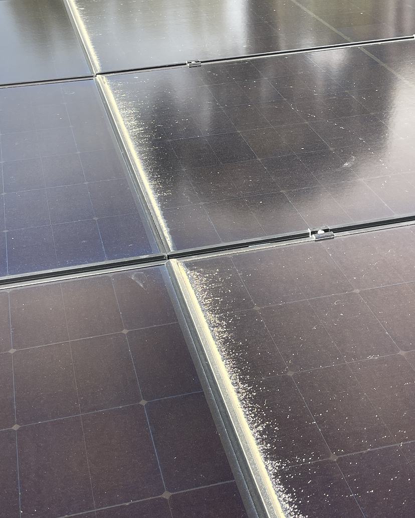 Solar panels in Woodbridge with dust built up along the frames, before cleaning