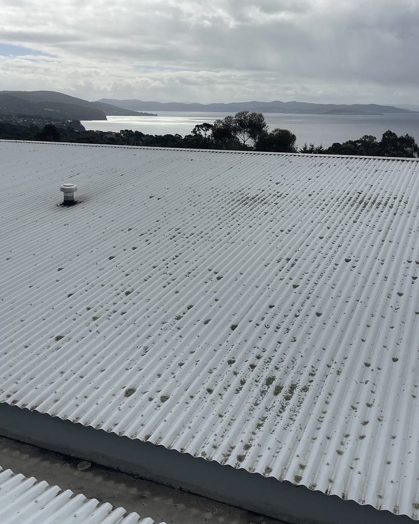 White Colorbond roof in Blackmans Bay spotted with lichen, water view beyond, before treatment